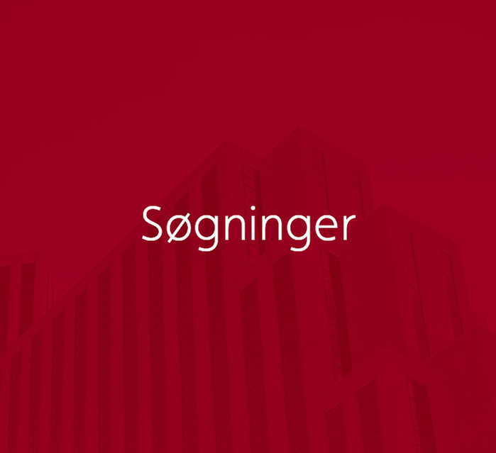 fnl-soegninger