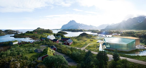 skrei2